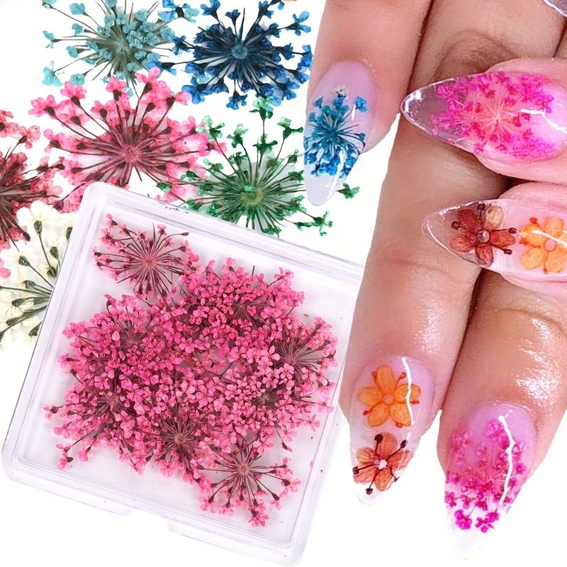 12 Color 3d Dried Flower Nail Art Charms Dried Flower - Temu